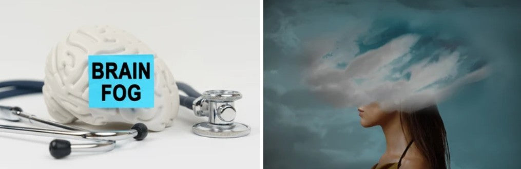 Source of Brain Fog and understanding the need for The WELL Building Standard™ (WELL)