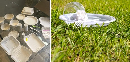Questions to Ask Before Purchasing Disposable Products