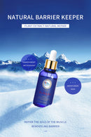 Wellness Oil - Rose and Lavender